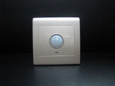 【墙壁开关 智能电子延时开关】价格,厂家,图片,电工开关,温州市龙湾永兴虎跃电子开关厂-