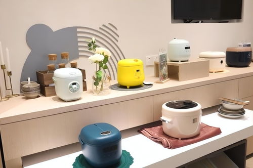 小熊电器 精品与创意,走上 顶流之路 的两把 宝剑