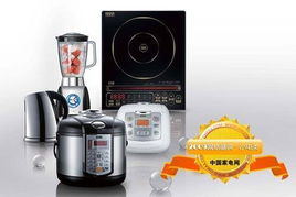 销售火爆 2009年最热门小家电产品点评