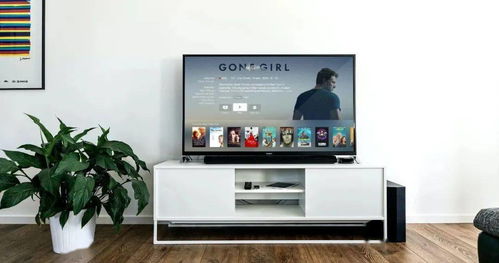 选家电的智慧 从销售视角看弟弟的消费选择